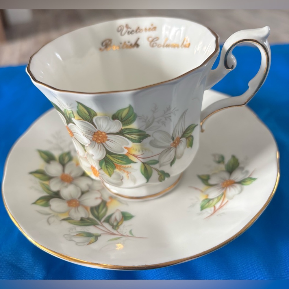 Rare Dogwood Elizabethan teacup and saucer fine bone China
